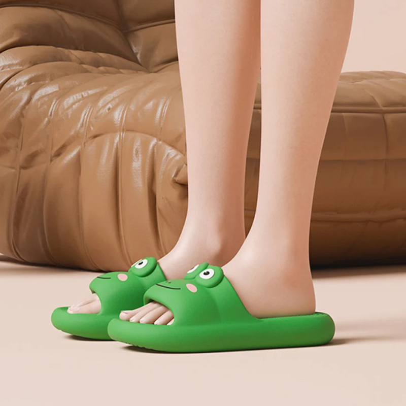 House Slipper Frog Cloud Woman - Sneaker Care Set 评论和价格